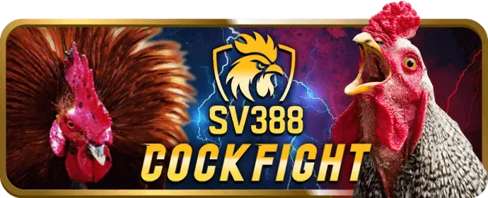 Hợp tác kinh doanh NEW888